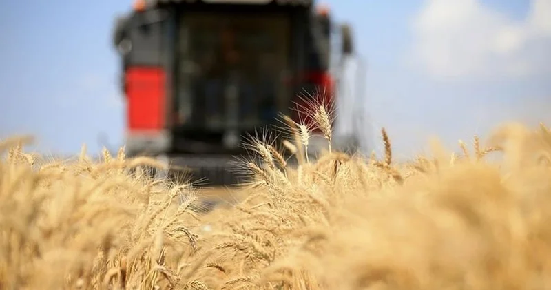 Türkiye, FAO konsey üyeliğine seçildi