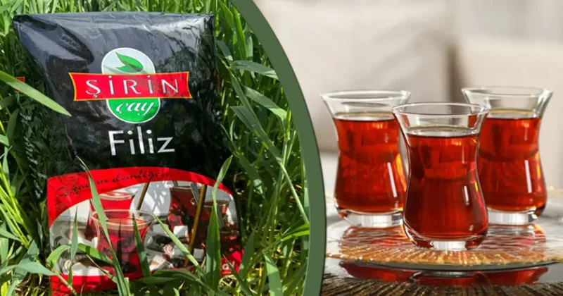 Bakanlık uyardı: Siyah çayda kanserojen gıda boyası tespit edildi!