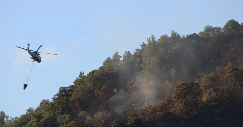 Fethiye de çıkan orman yangını söndürüldü