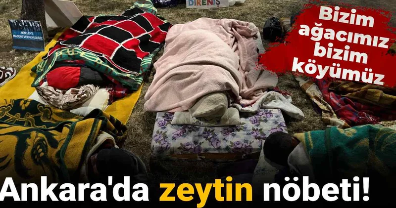 Ankara da zeytin nöbeti: Geceyi parkta geçirdiler!