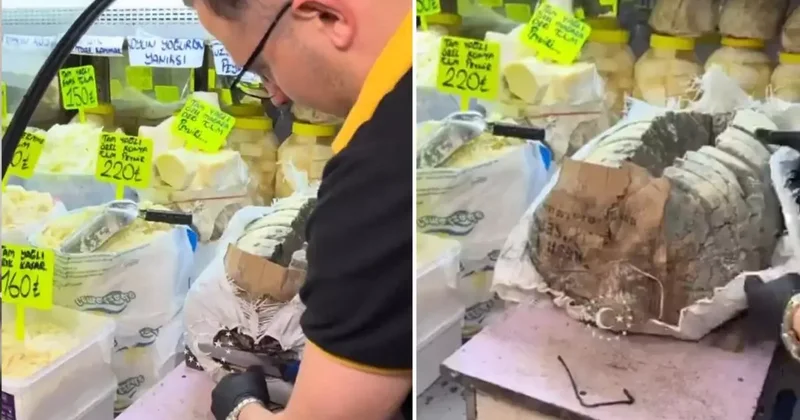 Türkiye de satılıyor! Görüntü izleyenleri ikiye böldü: Bunu nasıl yiyorlar?