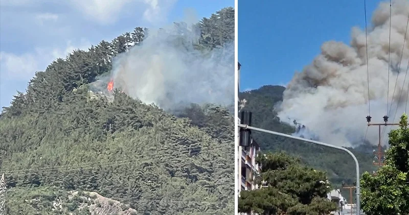 Hatay ın Dörtyol ilçesinde orman yangını: Ekipler bölgeye sevk edildi