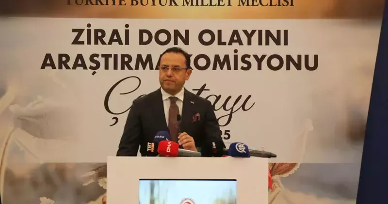 Bakan Yardımcısı Gizligider: 7 günde 624 orman yangını çıktı, son 3 ü kısmen kontrol altında