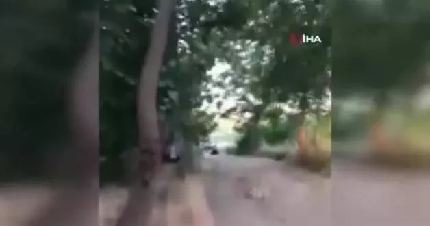 Bursa’da hayvana zulüm: Kamyonetin arkasında sürükleyip sopayla dövdü