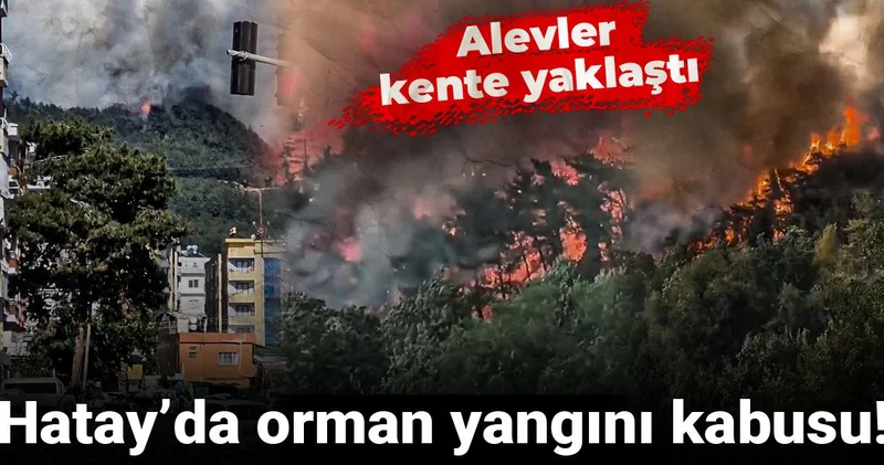 Hatay’da orman yangını kabusu: Alevler kasabaya yaklaştı