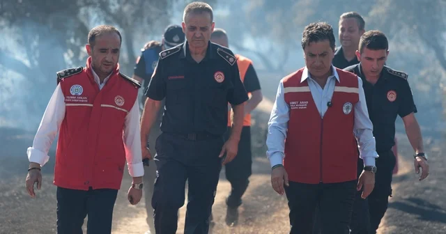 Milas ta zeytinlik yangını (2) Muğla Haberleri