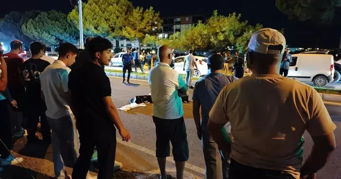 Yolun karşısına geçmeye çalışırken hayatını kaybetti
