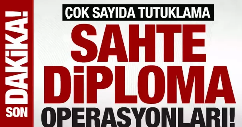 Sahte diploma ve ehliyet çetesine darbe: 197 gözaltı, 37 tutuklama