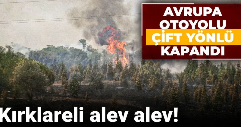 Kırklareli alev alev! Avrupa Otoyolu çift yönlü kapandı