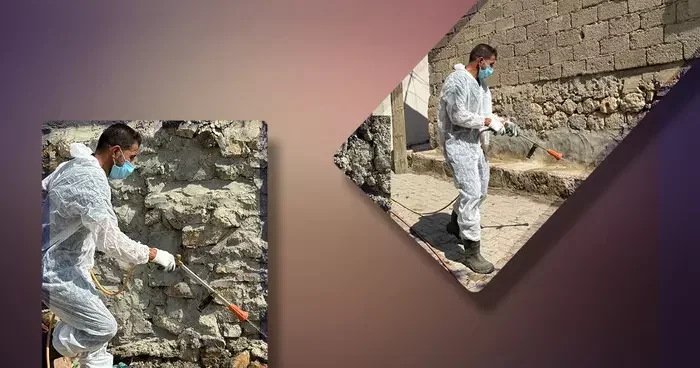 Bir köyü istila ettiler! Ekipler teyakkuza geçti: Halk sağlığı açısından riskli...