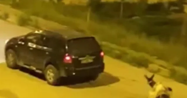 Eşeği otomobilin arkasına bağlayıp sürükleyerek götürenlere ceza Kars Haberleri