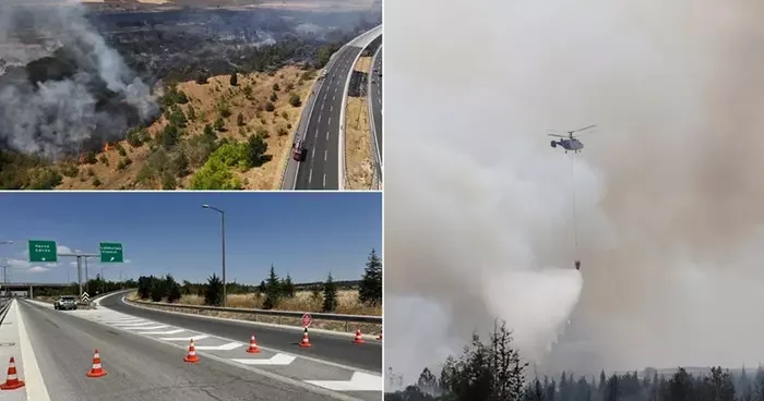Kırklareli nde ağaçlık alanda yangın! Avrupa Otoyolu trafiğe kapatıldı