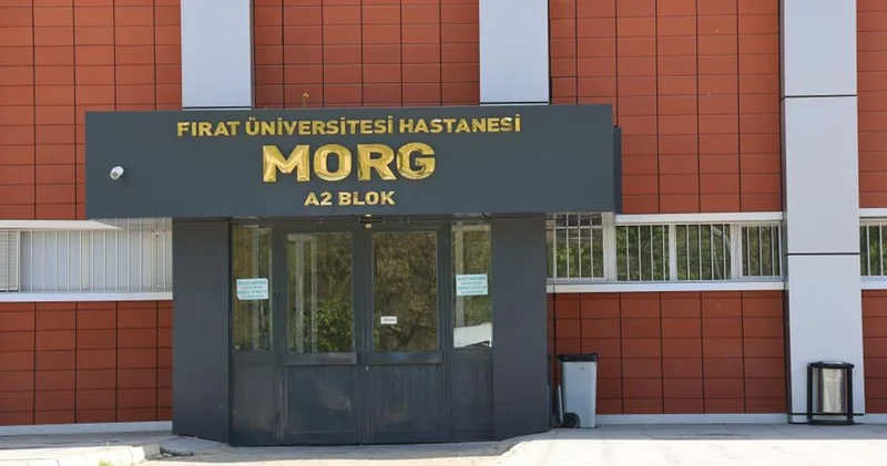 Elazığ da taksici, alacak verecek nedeniyle tartıştığı kuzeni tarafından öldürüldü