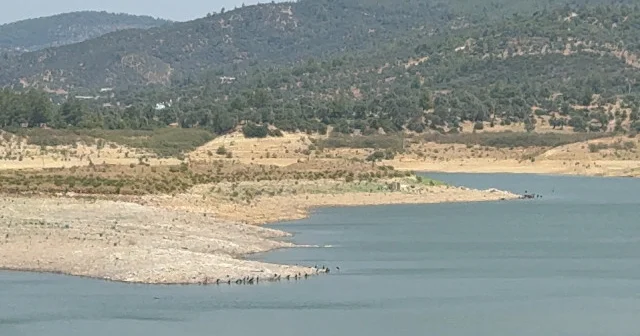 Bodrum un su kaynakları alarm veriyor: Seviye kritik eşiğe ulaştı VİDEO İZLE