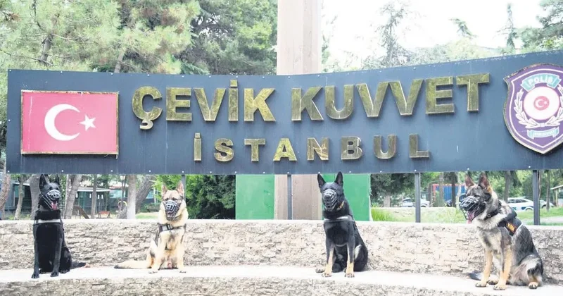 Patili kahramanlar suçluların peşinde