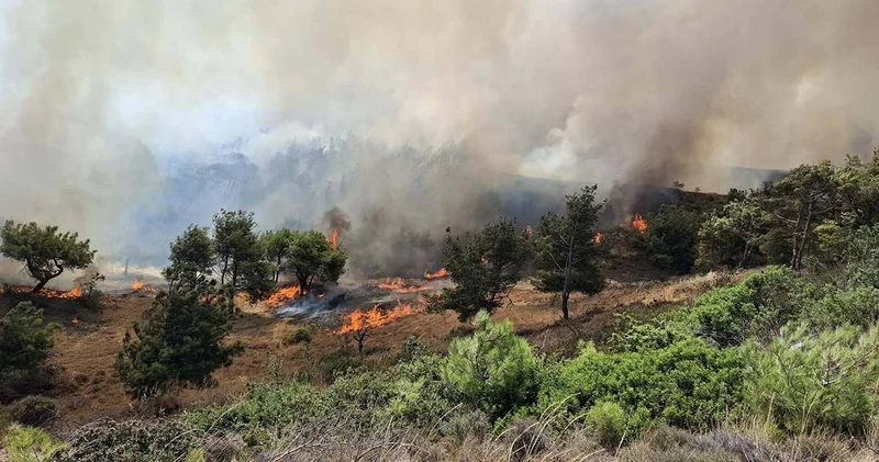 Çanakkale de 21 saat süren yangının çıkış nedeni belli oldu