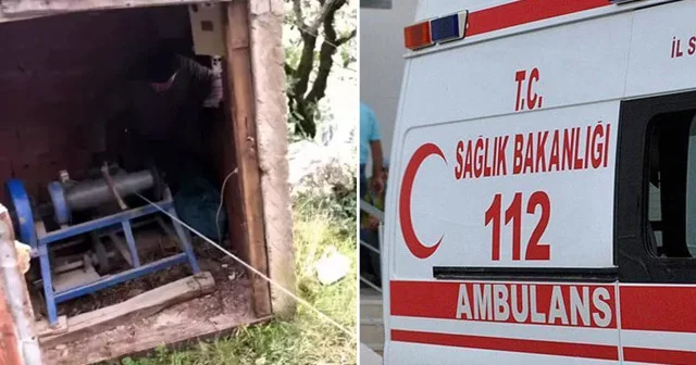 Hasat yaptıkları fındık bahçesinde cansız bedenleri bulundu Trabzon Haberleri