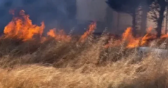 Tekirdağ’da otluk alanda korkutan yangın: 20 dönüm alan küle döndü VİDEO İZLE