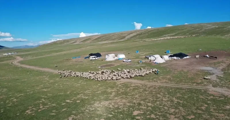 Yaylada korkunç olay: Hayvan otlatan baba ve oğlu feci şekilde can verdi