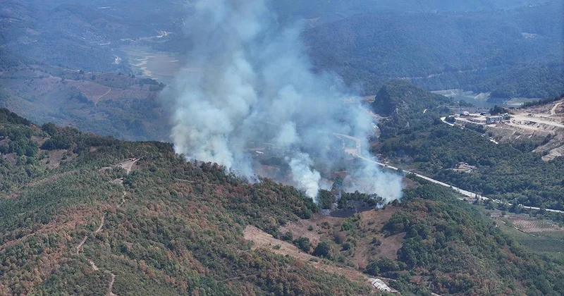 Düzce de yangın: Müdahale sürüyor