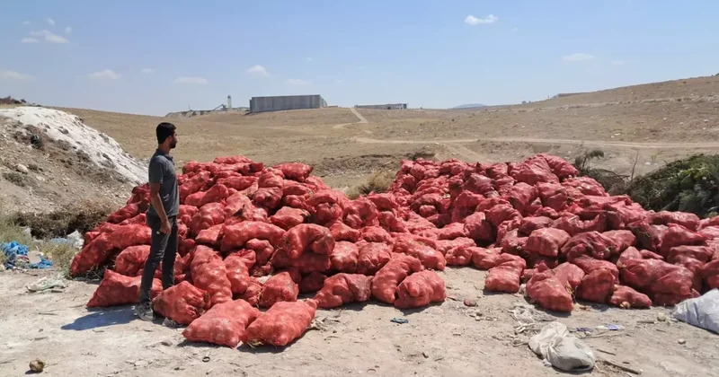 Tonlarca soğan bu şekilde bulundu! Yazık, yetime öksüze verselerdi