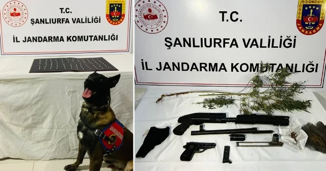 Uyuşturucu ve silah kaçakçılığı operasyonunda 42 şüpheli yakalandı Şanlıurfa Haberleri