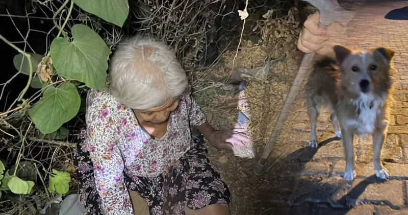 86 yaşındaki Hayriye nineyi her gün beslediği köpek buldu