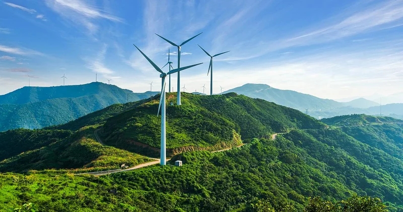 Türkiye den rüzgar enerjisi atağı