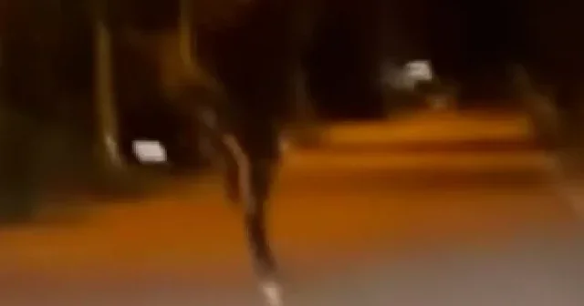 Patenli gencin tehlikeli yolculuğu kamerada VİDEO İZLE