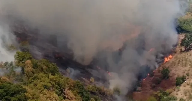Düzce de çıkan orman yangınına müdahale ediliyor VİDEO İZLE