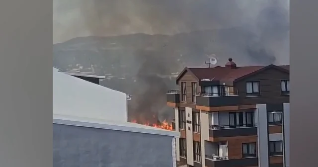 Bursa da çamlık yangını; yerleşim yerlerine sıçramadan söndürüldü Bursa Haberleri