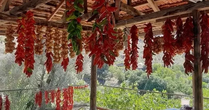Muğla’da kış hazırlığı renkli görüntüler oluşturdu
