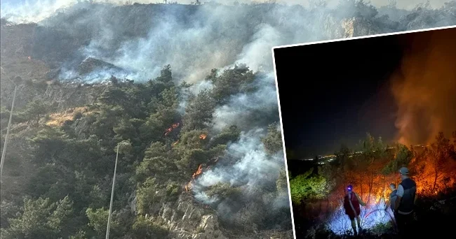 Aydın da alevlerle mücadele: Yangında 10 saat geride kaldı