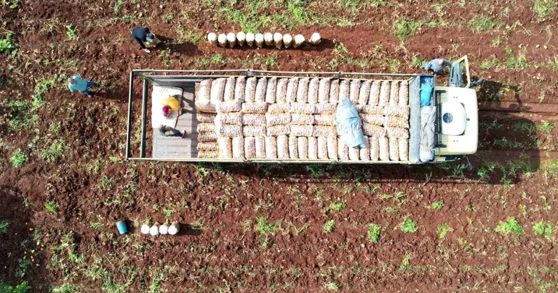 Ağustosta Patates Ucuzladı, Uçak Bileti Zamlandı