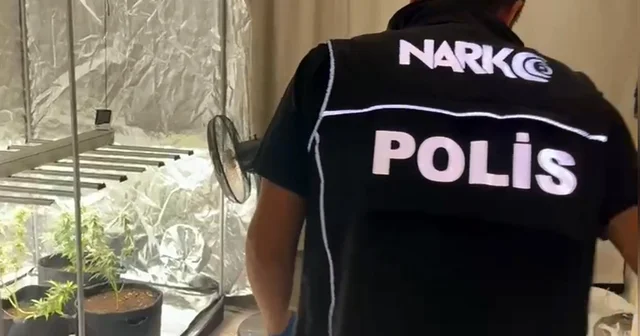 Yatak odasına kurduğu serada kenevir yetiştiren şüpheli: Evi tanımadığım biri kullanıyor Adana Haberleri