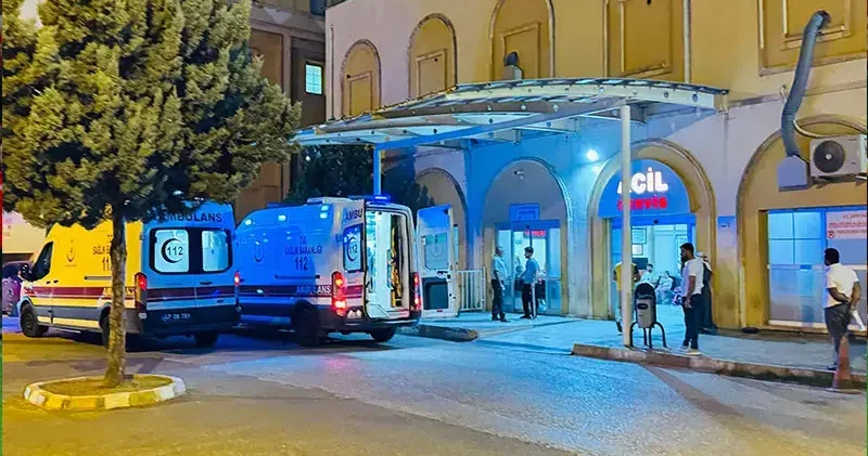Mardin’de otomobilin çarptığı eşek ile üzerindeki kişi yaralandı