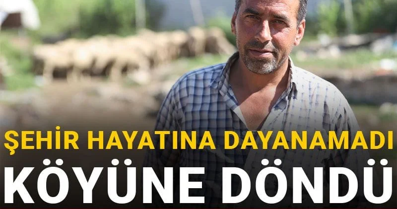 Şehir hayatına dayanamadı köyüne döndü: Hayatı kurtuldu