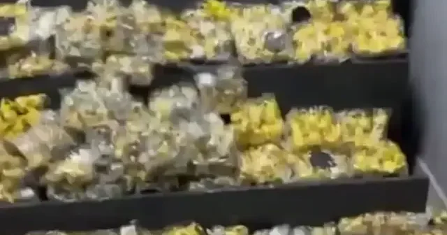 Doğubayazıt ta kaçakçılık operasyonu: Oyuncak ve kalem yüklü TIR’a baskın VİDEO İZLE