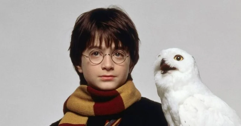 İşte karşınızda yeni nesil Hogwarts! Harry Potter dizisinin oyuncuları belli oldu, bakın kimi kim canlandırıyor!