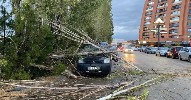 Eskişehir de sağanakta ağaçtan kopan dallar, park halindeki aracın üzerine düştü Eskişehir Haberleri