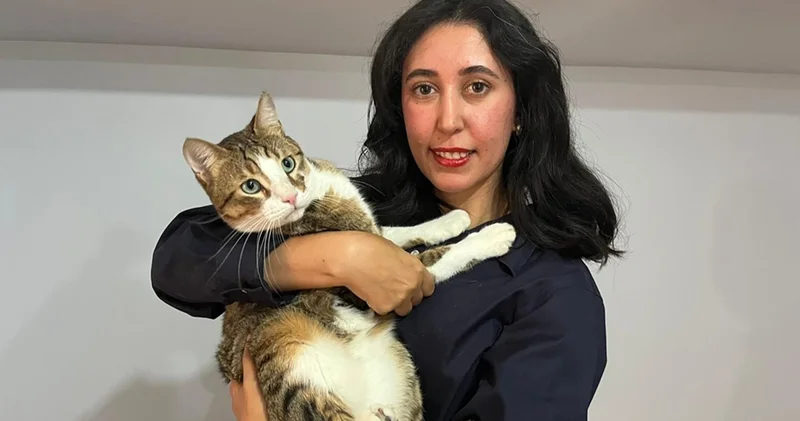 Tunus dönüşü uçakta kaybolan kedi için hava yolu şirketi hakkında suç duyurusu