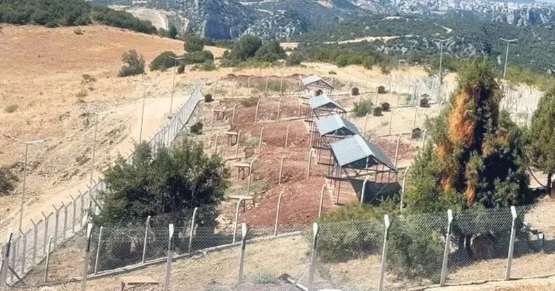 Devlet barınak yaptı belediye devralmadı
