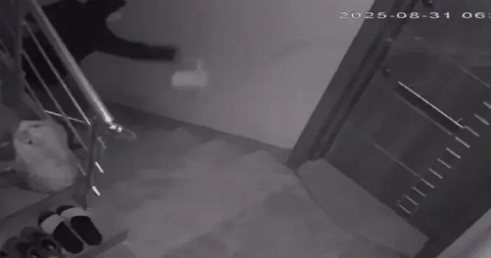 Komşularını canından bezdirdi! Kapısına hayvan dışkısı bırakıp, evin kapısına yağ döktü: 3 senedir eziyet çekiyoruz her gün