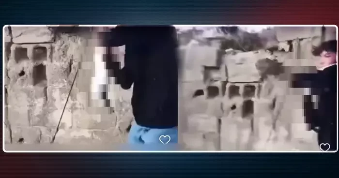 Konya da vahşet dolu görüntüler! Kediyi havalandırıp yere attı