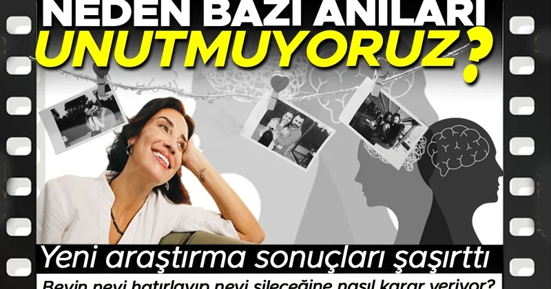 Beynimiz neden bazı anıları saklarken diğerlerini unutuyor? Ağaçların arasında koşuşturan sincapları izlerken fark etti