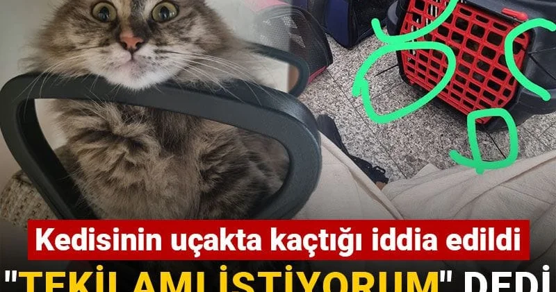 Kedisinin uçakta kaçtığı iddia edildi: Tekilamı istiyorum dedi suç duyurusunda bulundu