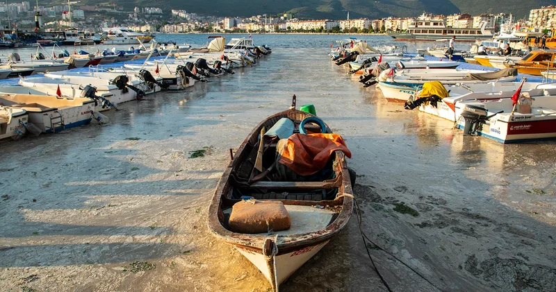 İşte en kapsamlı rapor! Marmara nasıl kurtarılacak?