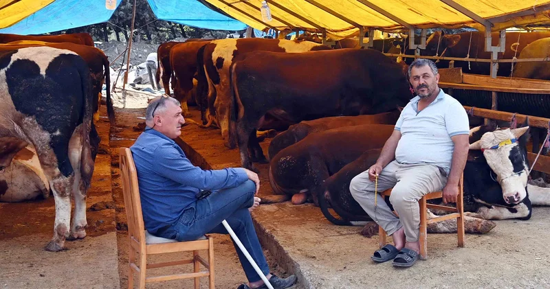 Bahçelievler Belediyesi: Hayvanların büyük çoğunluğu satıldı
