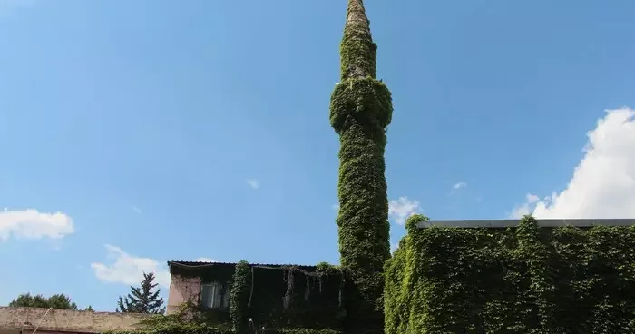 Hazırlıklar tamamlandı! Sarmaşıklarla kaplı yeşil cami bayrama hazır