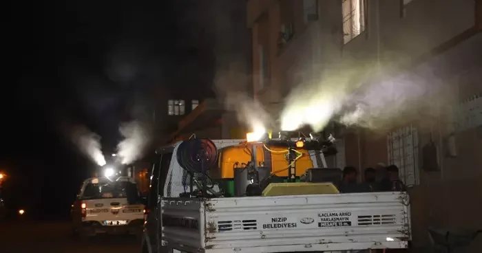 Sivrisinek, sinek ve haşere sorununa karşı ilaçlama yaptılar